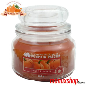 Pumpkin Patch Candela